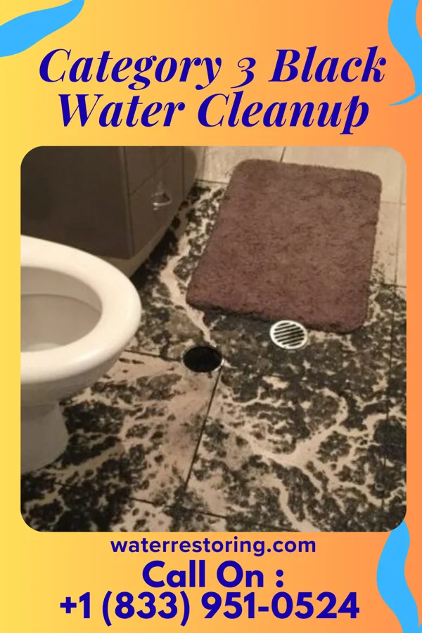 Category 3 Black Water Cleanup in Conashaugh Lakes, PA