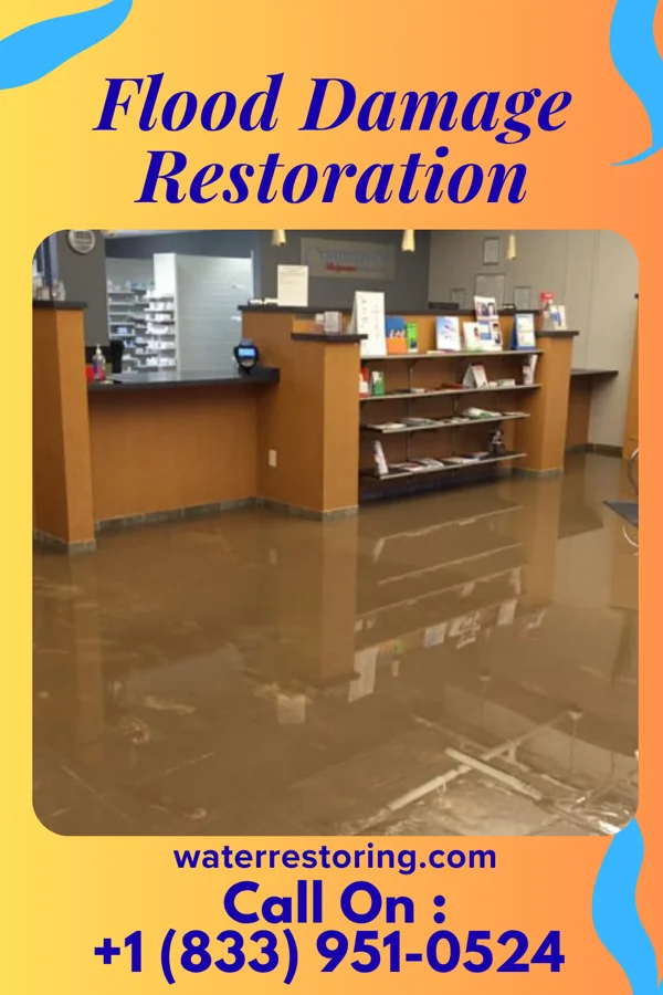 Flood Damage Restoration in Conashaugh Lakes, PA