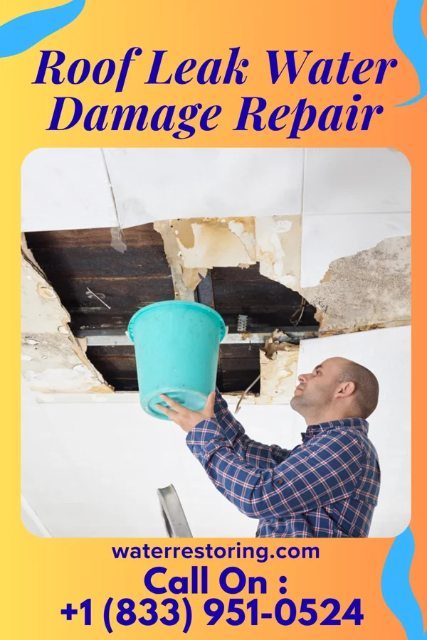 Roof Leak Water Damage Repair in Conashaugh Lakes, PA