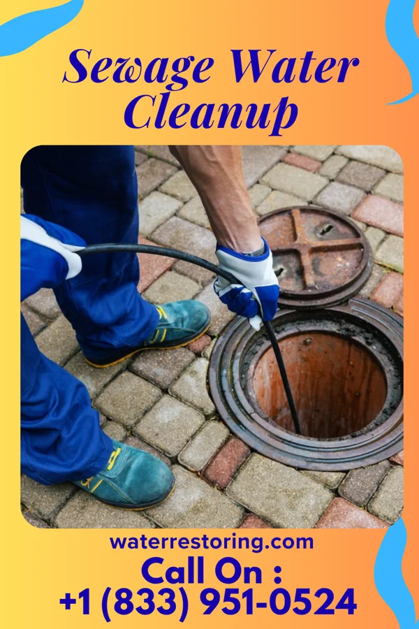Sewage Water Cleanup in Conashaugh Lakes, PA