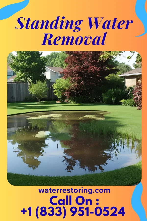 Standing Water Removal in Conashaugh Lakes, PA